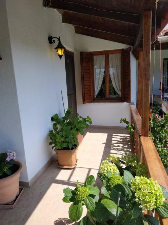 Villa Ivonnis Garden Mesimvria  Exterior foto