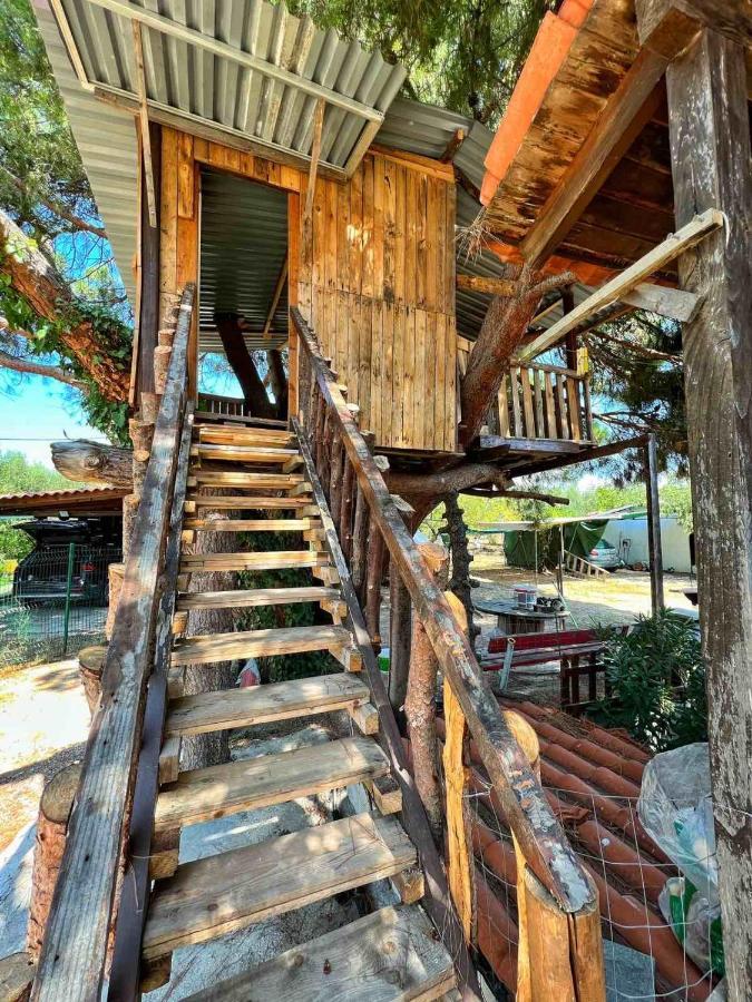 Villa Ivonnis Garden Mesimvria  Exterior foto