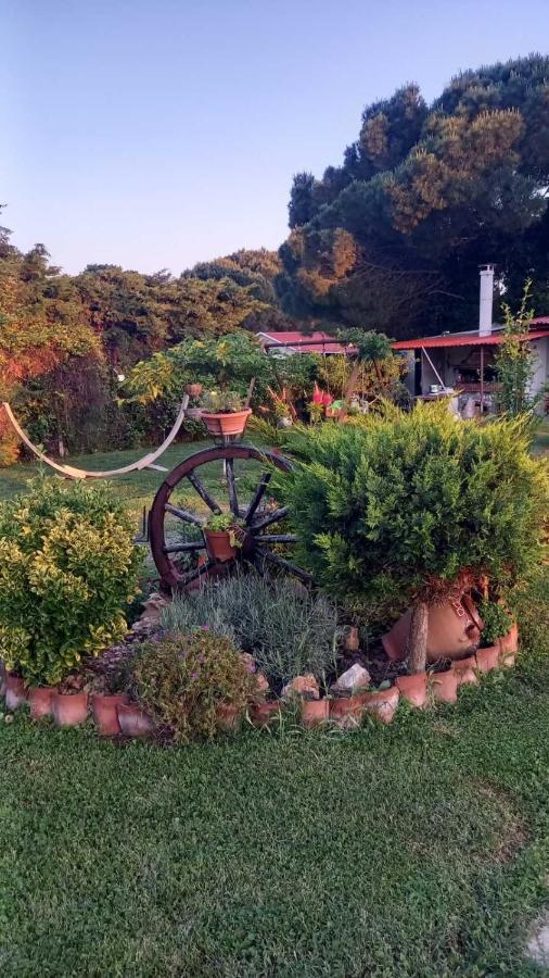 Villa Ivonnis Garden Mesimvria  Exterior foto